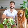 pvplantguy